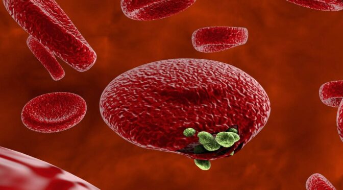 БЕЗГАК КАСАЛЛИГИДАН САҚЛАНИНГ!